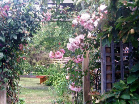 Hudspeth House Bed And Breakfast - Darwin Holiday 2