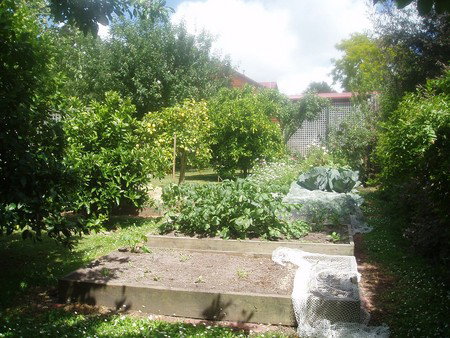 Hudspeth House Bed And Breakfast - Darwin Holiday 4