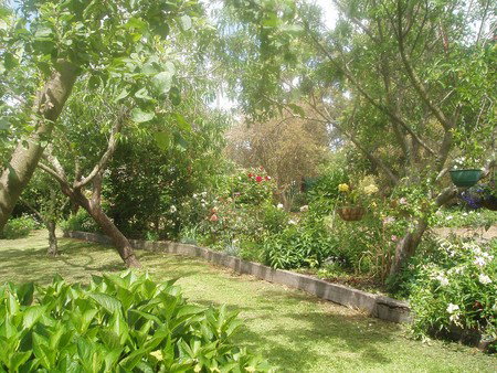 Hudspeth House Bed And Breakfast - Darwin Holiday 5