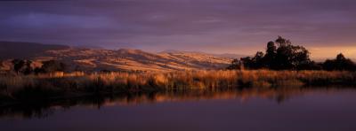 Wombat Hills Cottages - Darwin Holiday 3