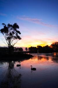 WorldMark Resort Ballarat - Darwin Holiday 5