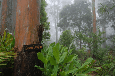 Witches Falls Cottages - Darwin Holiday 2