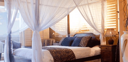 Avocado Sunset - Darwin Holiday 2