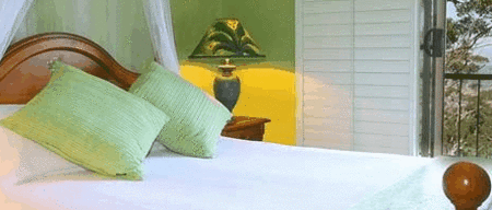 Avocado Sunset - thumb 3