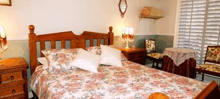 Avocado Sunset - Darwin Holiday 5