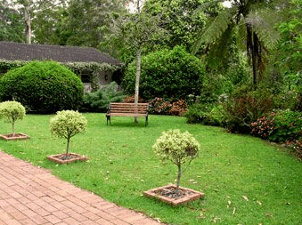 Tall Trees Motel - Darwin Holiday 2