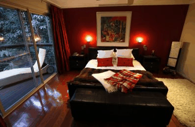 Songbirds Rainforest Retreat - thumb 4