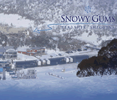Snowy Gums Chalet - Darwin Holiday