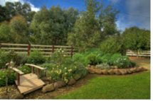 Peppermint Springs Retreat & Day Spa - Darwin Holiday 2