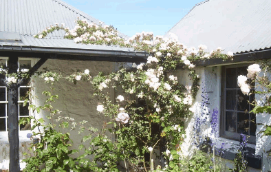 Orford Sanda House B&B - Darwin Holiday 1