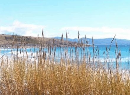 White Sands Estate - thumb 0