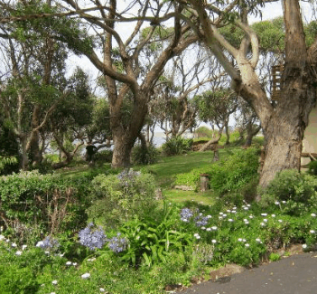 Anchlia Waterfront Cottage - Darwin Holiday 2