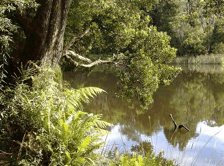 Weldborough Hotel - Darwin Holiday 0