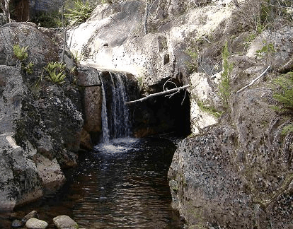 Weldborough Hotel - Darwin Holiday 1