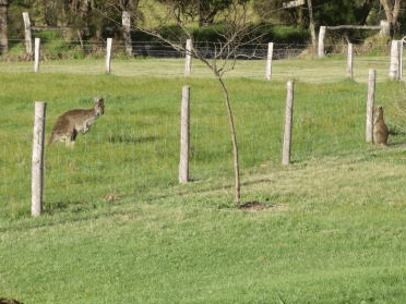 Woody Grange Chalets - Darwin Holiday 2