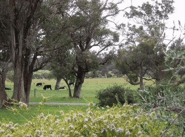 Woody Grange Chalets - Darwin Holiday 3