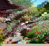 Chestnut Brook Cottage - Darwin Holiday