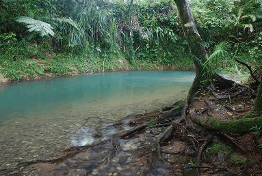 Heritage Lodge And Spa - thumb 0