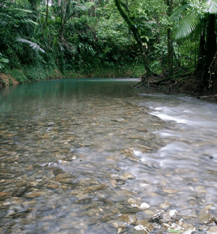 Heritage Lodge And Spa - Darwin Holiday 1