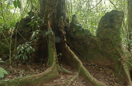 Heritage Lodge And Spa - Darwin Holiday 4