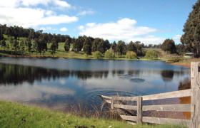 Glenlynn Cottages - Darwin Holiday 0