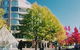 Canberra Wide Apartments - City Plaza - thumb 2