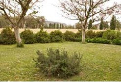 Claremont Cottage - Darwin Holiday 2