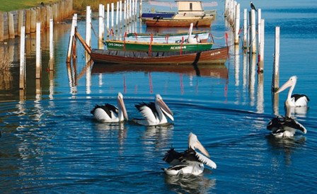 Windang Beach Tourist Park - Darwin Holiday 4