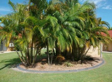 Yamba Motor Inn - Darwin Holiday 5