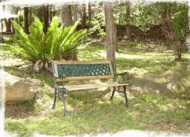 Lorikeet Cottage - Darwin Holiday 3