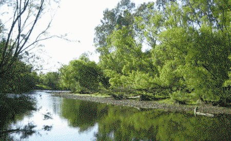 Ribbonwood Cottages - Darwin Holiday 0