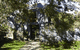 Thredbo YHA - thumb 0