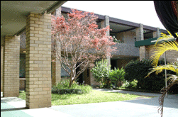 Amg Ryde Sydney - Darwin Holiday 0