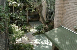 Amg Ryde Sydney - Darwin Holiday 2