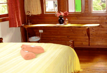 Nimbin Holiday Accommodation & Guest House - Darwin Holiday 5