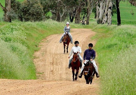 Hanericka Farm Stay - Darwin Holiday 1