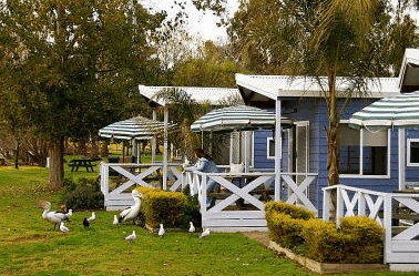Lake Mulwala Holiday Park - thumb 3