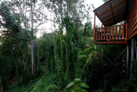 Ravensbourne Forest Chalets - Darwin Holiday 1