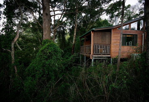 Ravensbourne Forest Chalets - Darwin Holiday 4