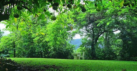 Misty Mountain Retreat - Darwin Holiday 0