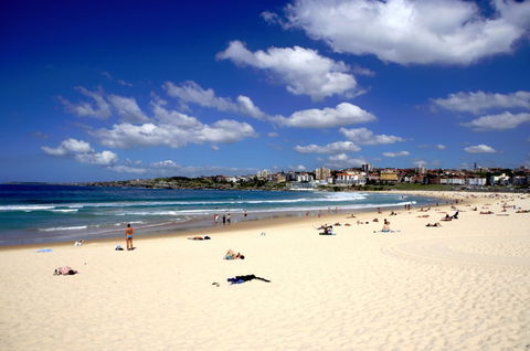 Wyndham Vacation Resorts Sydney - Darwin Holiday 3
