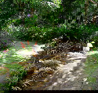 Coco's Country Cottage - Darwin Holiday