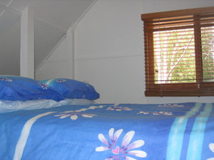 Acacia Dreaming At Light On Retreat - Darwin Holiday 1