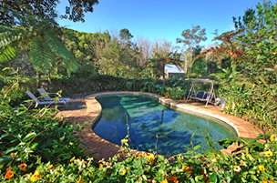 Acacia Dreaming At Light On Retreat - Darwin Holiday 3