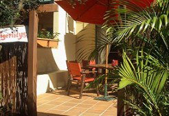 Tigerlilys - Darwin Holiday 2