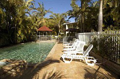 Tigerlilys - Darwin Holiday 4