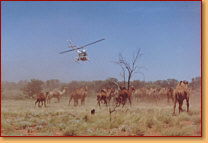 Kings Creek Station - Darwin Holiday 2