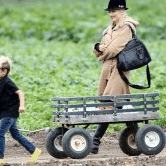 Perth City Farm Organic Markets - Darwin Holiday