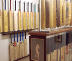 Western Australian Cricket Association Tours & Museum - Darwin Holiday 1