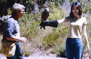 Eagles Heritage Raptor Wildlife Centre - Darwin Holiday 2